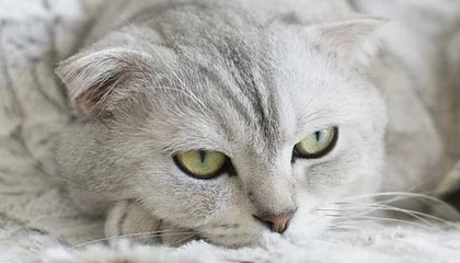 开云-“苏超”唯一女主帅周高萍：当年首次踢世界杯因紧张浑身抽筋